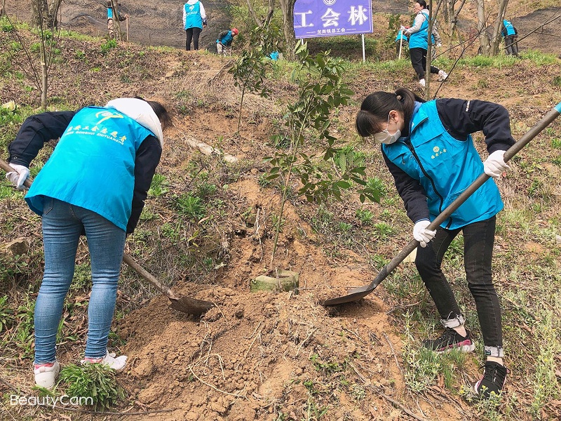 華龍公司開展植樹活動(dòng) 為大自然添新綠