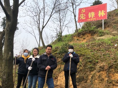 華龍公司開(kāi)展植樹(shù)活動(dòng) 為大自然添新綠