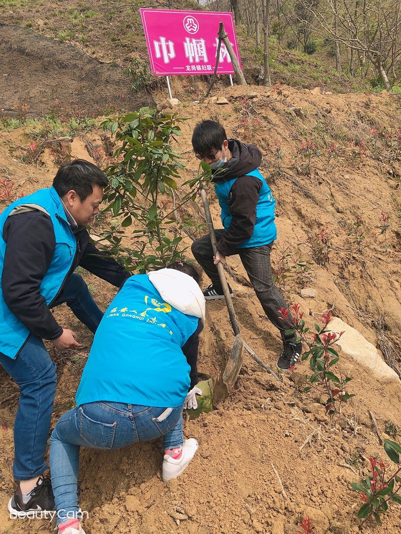 華龍公司開展植樹活動(dòng) 為大自然添新綠